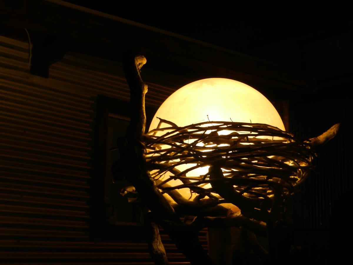 Nido De Luna El Calafate Bagian luar foto